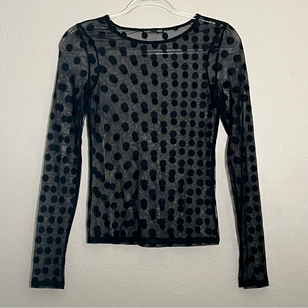 Zara Polka Dot Mesh Long Sleeve Top NWOT